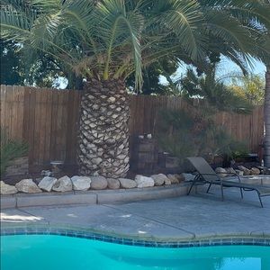 Meet your Posher, Isaura